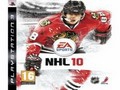 NHL 10 Jigsaw כדי לשחק באינטרנט