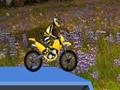 Hillblazer FMX כדי לשחק באינטרנט